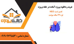 تفسير تست NEO فرد 42 ساله، موئنث
