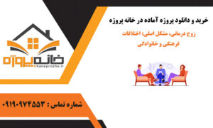 زوج درمانی، مشکل اصلی: اختلافات فرهنگی و خانوادگی